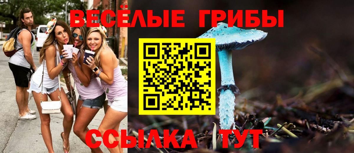 Псилоцибиновые грибы GOLDEN TEACHER Павловский Посад